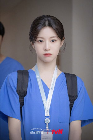 언젠가는 슬기로울 전공의생활 poszter