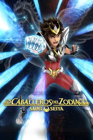 Szent Seiya: A zodiákus lovagjai poszter