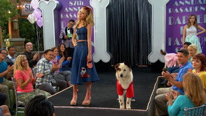 Dog with a Blog 3. évad Ep.9 9. epizód