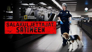 Drogfogások a repülőtéren kép