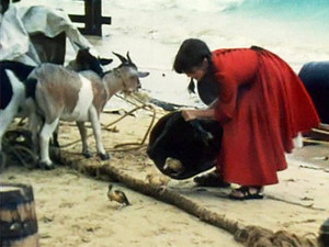 Swiss Family Robinson 1. évad Ep.1 1. epizód