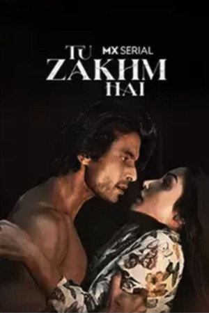 Tu Zakhm Hai 1. évad (2022-10-15) poszter