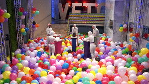 Big Brother Célébrités 1. évad Ep.49 49. epizód
