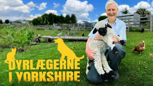 A Yorkshire-i állatorvos kép