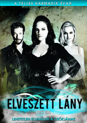 Elveszett lány 3. évad (2013-01-06) poszter