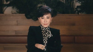 对照记 kép
