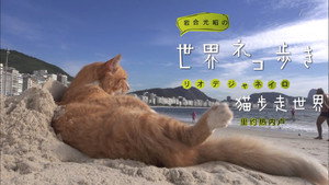 岩合光昭の世界ネコ歩き 1. évad Ep.40 40. epizód