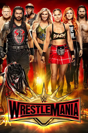 WWE Pay Per View 35. évad (2019-01-12) poszter