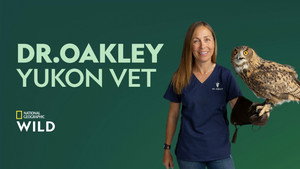 Dr. Oakley házhoz megy kép