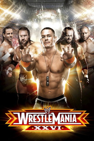 WWE Pay Per View 26. évad (2010-01-31) poszter
