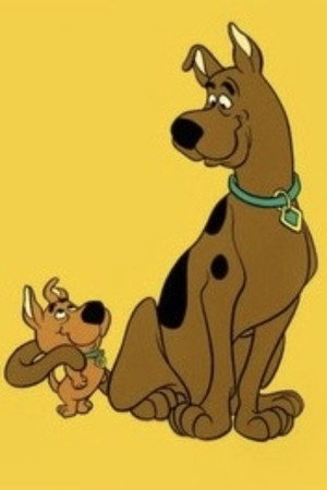 The New Scooby and Scrappy-Doo Show poszter