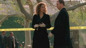 CSI: New York-i helyszínelők 2. évad Ep.15 Játszmák