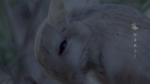 遇见最极致的中国 1. évad Ep.2 2. epizód