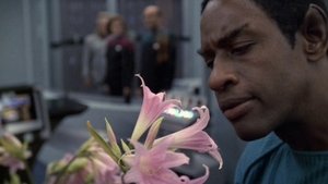 Star Trek: Voyager 6. évad Ep.6 Rejtvények