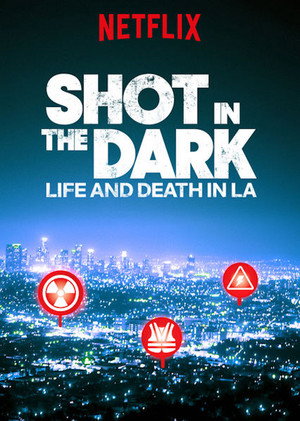 Shot in the Dark poszter