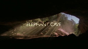 Natural World 22. évad Ep.2 2. epizód