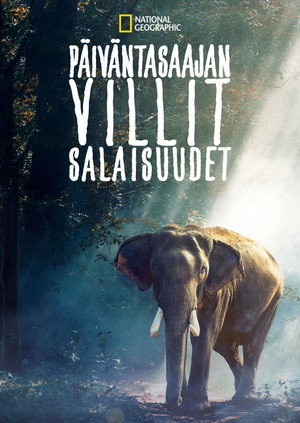 Az Egyenlítő vad titkai poszter