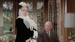 Bewitched 3. évad Ep.26 26. epizód
