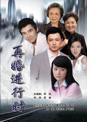 再婚进行时 poszter