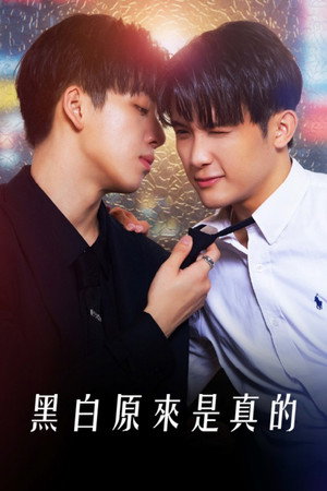 黑白原來是真的 poszter