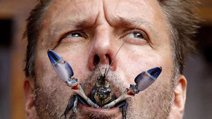 I'm a Celebrity...Get Me Out of Here! 16. évad Ep.14 14. epizód