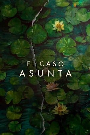 Az Asunta-ügy Minisorozat (2024-04-26) poszter