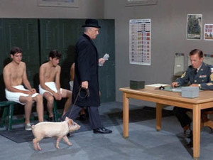 Green Acres 2. évad Ep.3 3. epizód