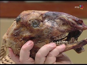 Државни посао Speciális epizódok Ep.34 34. epizód
