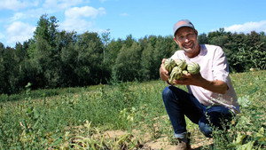 Arrive en campagne kép