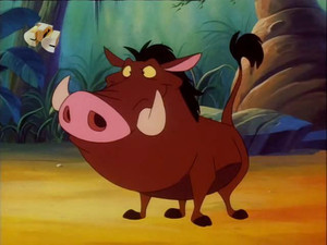 Timon és Pumba a Föld körül 1. évad Ep.23 Bűnöző üldözők