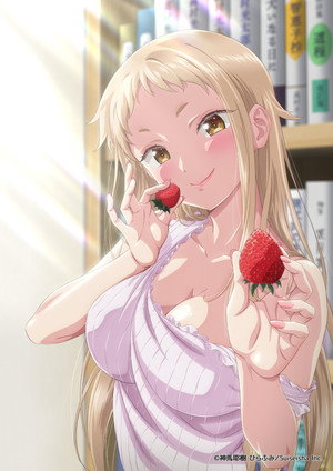 イチゴ哀歌～雑で生イキな妹と割り切れない兄～ poszter
