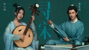 寻宋 kép