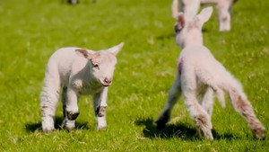 Countryfile 37. évad Ep.18 18. epizód