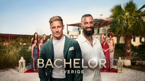 Bachelor Sverige kép