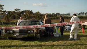Brokenwood titkai 3. évad Ep.3 A gyilkológép