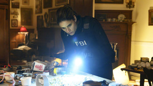 FBI: New York különleges ügynökei 1. évad Ep.15 Felperzselt Föld