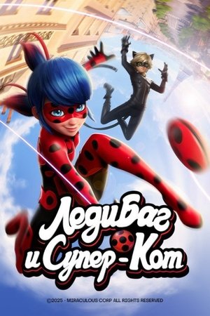 Miraculous Katicabogár és Fekete Macska kalandjai poszter