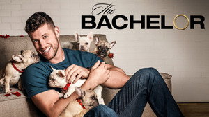 The Bachelor kép