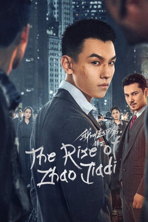 我叫赵甲第之锋芒 poszter
