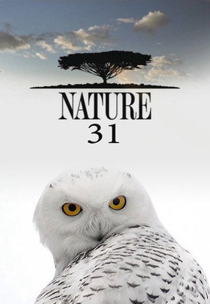 Nature 31. évad (2012-10-10) poszter