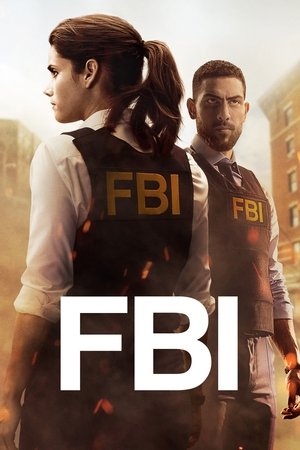 FBI: New York különleges ügynökei poszter
