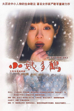 小姨多鹤 1. évad (2009-10-31) poszter