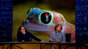 QI 14. évad Ep.10 10. epizód