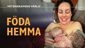 Vetenskapens värld 50. évad Ep.18 18. epizód