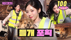 워크돌 5. évad Ep.1 1. epizód