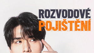 Válási biztosítás kép