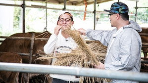 1박 2일 3. évad Ep.463 463. epizód