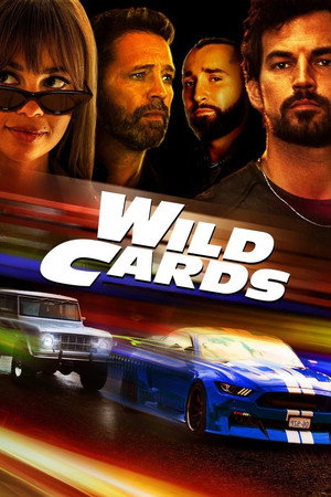 Wild Cards poszter