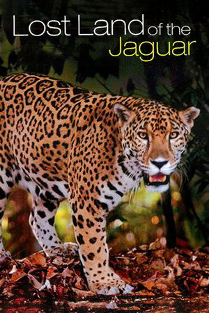 Lost Land of the Jaguar poszter