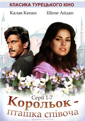 Çalıkuşu poszter